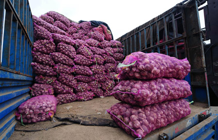 山西:新蒜陆续上市