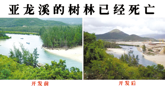 海南23家五星酒店私吞公共沙滩 成有钱人天堂