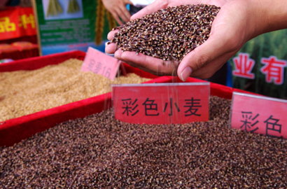 图说农洽会