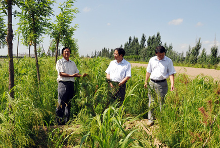 宁夏防沙治沙职业技术学院将与长安大学开展合作
