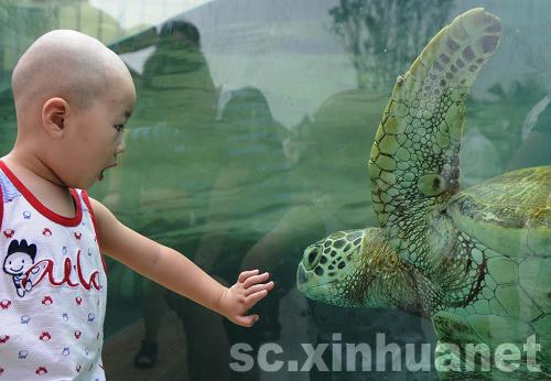 成都极地海洋世界清凉游