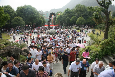 2010中国（衢州·开化）根雕艺术文化节隆重开幕