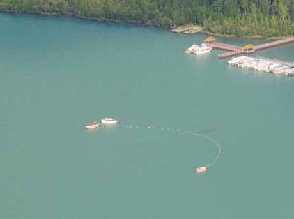 摄影爱好者称拍到喀纳斯湖怪 专家认为是大鱼