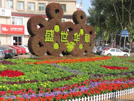 600万盆鲜花扮靓泉城济南（图）
