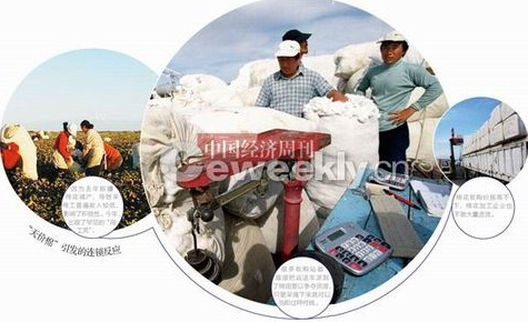 新疆棉价上涨引发疯狂倒卖战 棉农私卖不成囤货