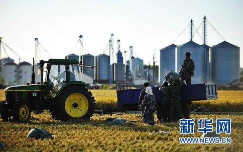 中国最大商品粮基地粮食总产突破千亿斤[组图]