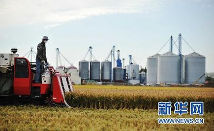 中国最大商品粮基地粮食总产突破千亿斤[组图]