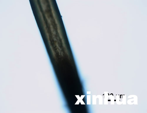 r״ιël@΢