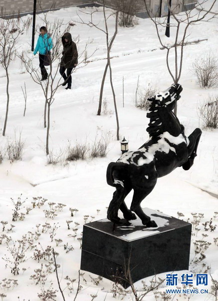 我国北方多个城市遭受暴雪袭击(图)