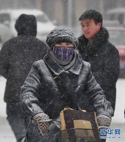我国北方多个城市遭受暴雪袭击(图)