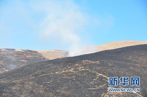 四川道孚草原火灾纪实:余火被大风吹燃瞬间吞噬山沟
