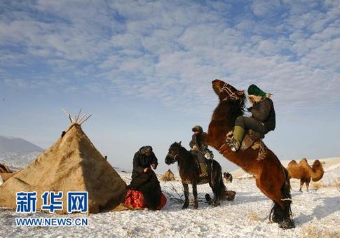 新疆阿勒泰百万牲畜大转场