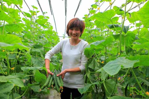 “农超对接”稳菜价(图)