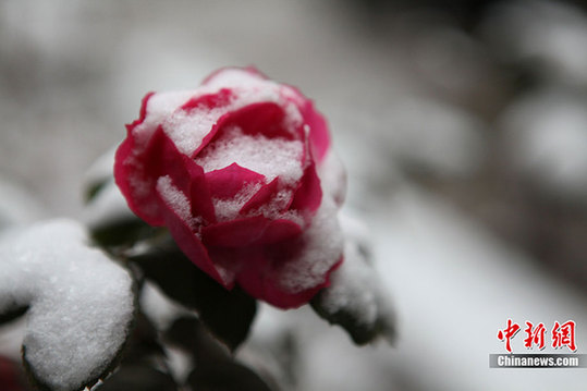 中国大部分地区普遍降温 迎来降雪天气