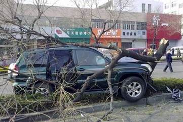 山东泰安发生持枪杀人案 2民警1协警殉职(组图)