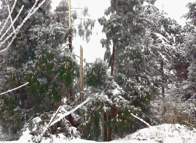 华蓥遭受35年不遇1月多冰冻雪灾 各级积极抗击自救