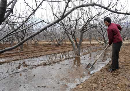 沂蒙山乡抗旱忙