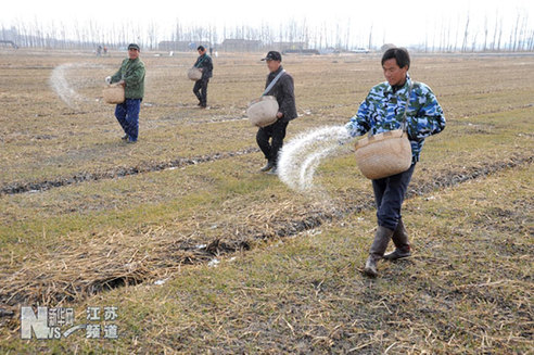 农民抗旱 政府给力