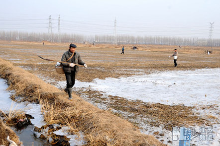 农民抗旱 政府给力