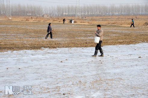 农民抗旱 政府给力