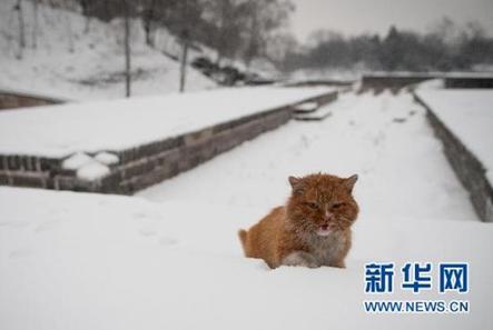 北京迎来今冬最长最大降雪(组图)