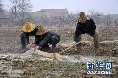喜迎春雪 我国中东部地区持续降雪