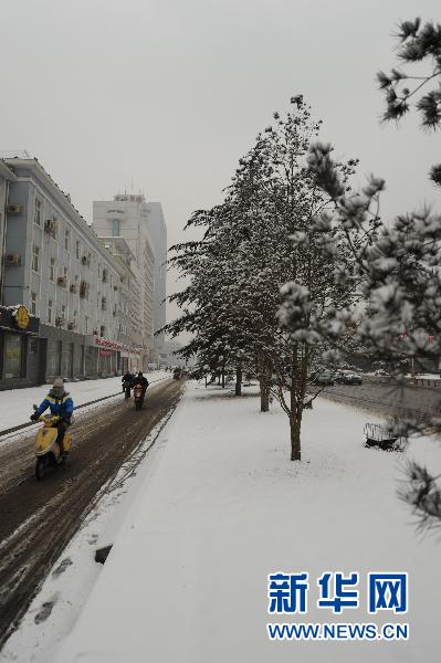 喜迎春雪 我国中东部地区持续降雪