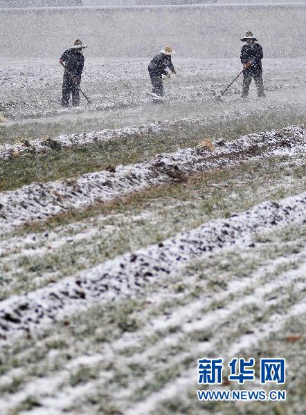 喜迎春雪 我国中东部地区持续降雪