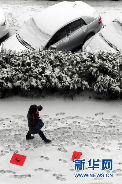 喜迎春雪 我国中东部地区持续降雪