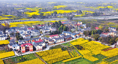 落实科学发展观的生动实践（保障改善民生 促进社会和谐）