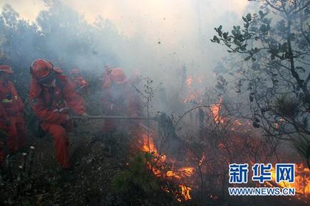 丽江玉龙县发生森林大火