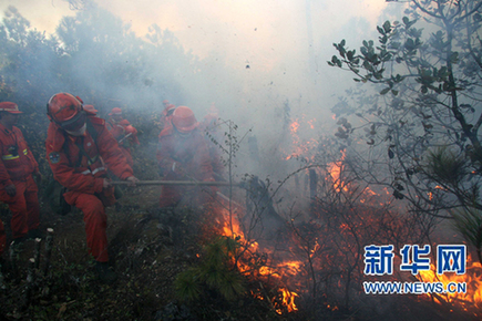 云南省玉龙县森林大火已基本扑灭 火灾原因在调查中