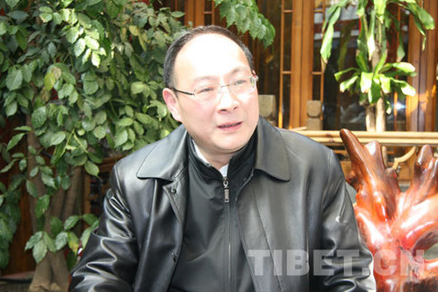 国际关系专家：民主改革扫除了西藏发展的制度性障碍