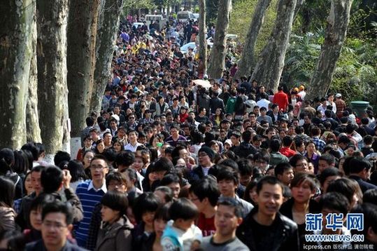 20万余人到武汉大学观赏樱花 创下历年之最(图)