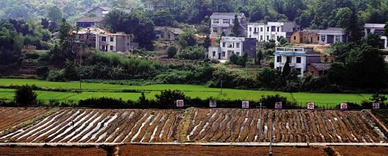 走红色线路 看红色经典 红色旅游渐入佳境