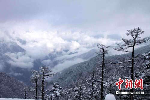 湖北神农架突降白雪出现气象奇观(组图)