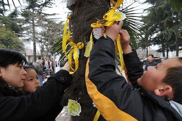 合肥举行首次清明集体共祭活动