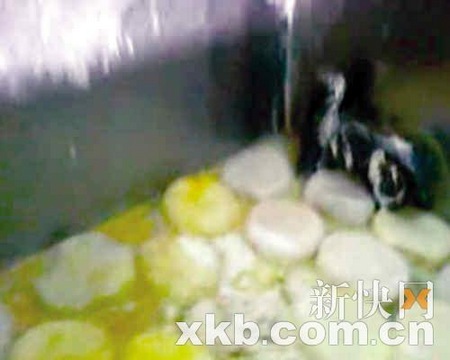上海华联等超市多年售染色馒头 生产日期随便改