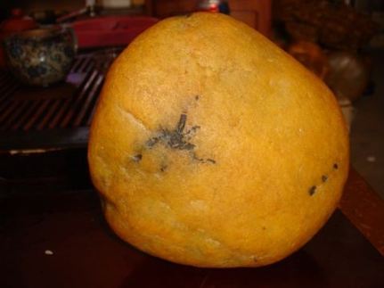 盘点那些只赚不赔的收藏品