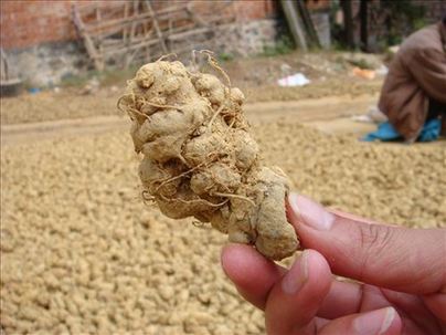 盘点那些只赚不赔的收藏品