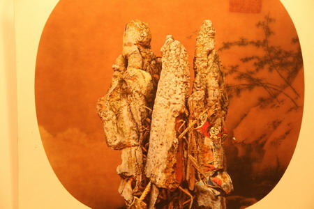 新时代：中澳新媒体艺术展在山东济南开幕