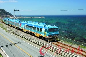 韩国美丽购（组图）