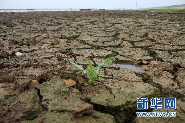 江西中北部普降大雨 鄱阳湖水位逐步回升
