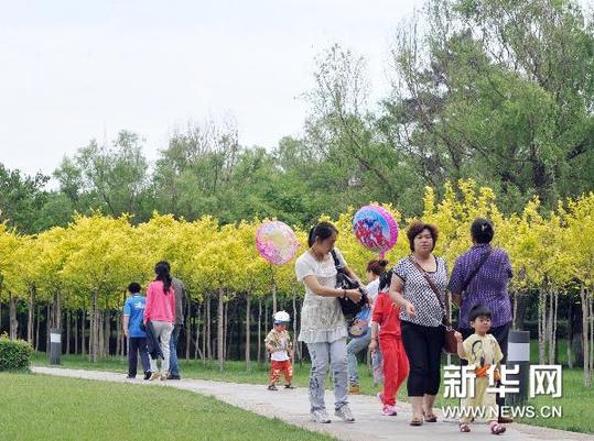 各地喜迎中国传统节日端午节