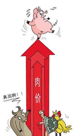 猪肉价格跌涨急转