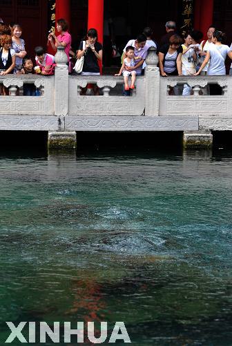 济南趵突泉喝上“救命水” 水位重回28米大关