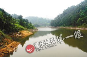 重庆綦江发现“史前巨型蚯蚓” 像蛇一样长(图)