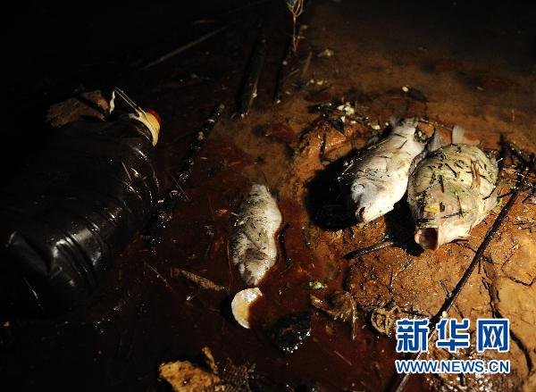 紫金矿业污染事件:上杭环保局原局长一审获刑19年半