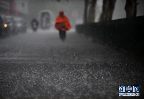 晨见“梅花”愁 风雨任疯狂 一览众生相