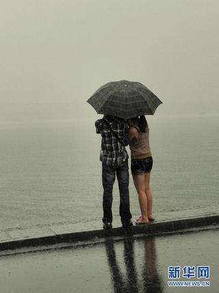 晨见“梅花”愁 风雨任疯狂 一览众生相